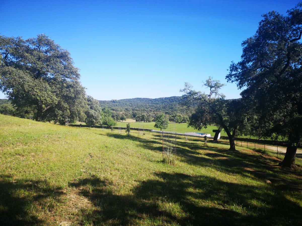 Casa Rural La Dehesilla Cazalla de la Sierra Extérieur photo